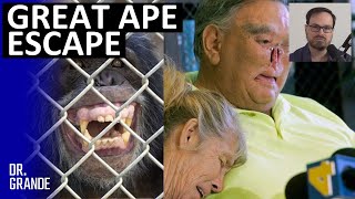 Chimpanzee Attachment Leads to Nose and Genital Removal  St James amp LaDonna Davis Case Analysis [upl. by Kellie]