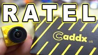 Caddx Ratel FPV Camera Preview 📷 [upl. by Roehm]