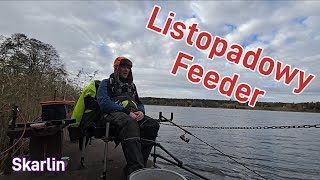 96 Feeder jesienią Listopad 2024 jSkarlin [upl. by Reiko68]