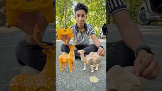 Rc Camel And Remote Control Deer Unboxing🔥🦌 [upl. by Eidoc401]