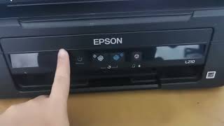 HOW TO RESET INK PAD ERROR PRINTER EPSON L210 [upl. by Eniaral565]