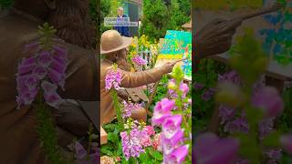 🌸 “Claude Monet’s Masterpieces Come to Life in Bloom 🌿 ArtInNature” [upl. by Aniakudo]