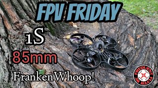 FPV Friday 85mm 1S Whoop [upl. by Delanie]