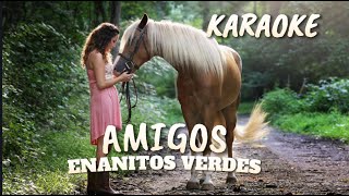 ENANITOS VERDES  AMIGOS  KARAOKE [upl. by Fanchet411]