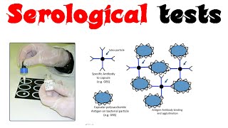 Serological tests [upl. by Wyatt]