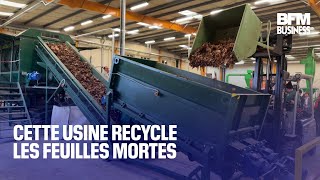 Cette usine recycle les feuilles mortes [upl. by Breech]