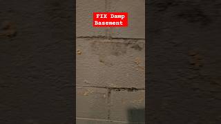 How to FIX Damp Basement Walls [upl. by Akins]