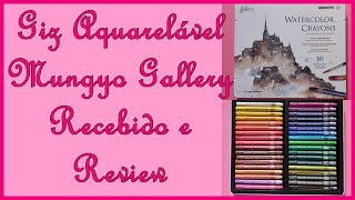 Giz Aquarelável Gallery Mungyo Watercolor Crayons  Recebido  Review [upl. by Oika]