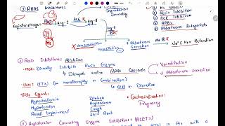 Antihypertensive Pharmacology  RAAS Inhibitors  ACE inhibitors  Angiotensin Receptor Blockers P3 [upl. by Stevenson]