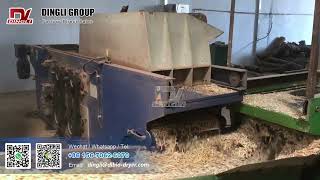 Tunisia Wood Shaving Machine Running Video [upl. by Melia995]