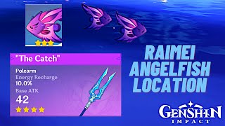 Raimei Angelfish Location The Catch 4Star Polearm Exchange Fish  Genshin Impact 21 [upl. by Lamahj217]