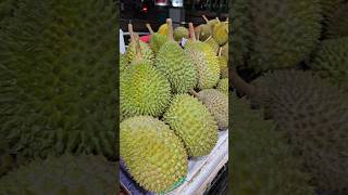 Durian Feasting 😂😂😋😋👏👏 [upl. by Gerge375]