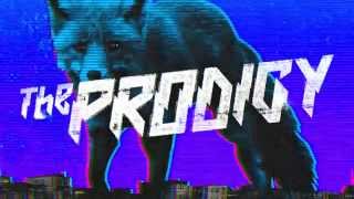 The Prodigy  The Day Is My Enemy LH Edit Official Audio [upl. by Spalla]