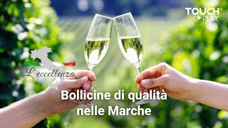 Bollicine di qualità nelle Marche [upl. by Kobi919]