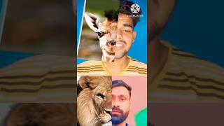 Banyo queen tiktok face reaction compilation funny animals tiktok shorts shortvideo funpxx [upl. by Mcnamara234]