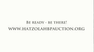 Hatzolah of Boro Park Auction 2012 Promo [upl. by Potash]