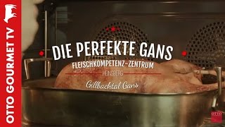 Gänsebraten perfekt zubereiten [upl. by Jimmy413]