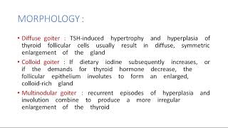 A Class On Thyroid colloid goitre By Dr HarshiniDepartment Of Pathology [upl. by Sethi]