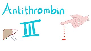 Antithrombin III  How Heparin Works [upl. by Monagan]