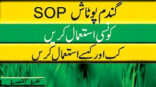 How to use potash in wheat cropWhen to use Potash SOP [upl. by Rramal824]