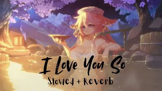 I Love You So ❤️   Slowed  Reverb   1 HOUR [upl. by Granville]