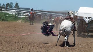 RODEO HORSE Panasonic GH6 Slow motion Test Rodeo [upl. by Haskell]