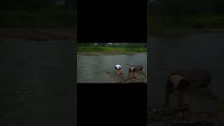 Lambingan Bridge  Brgy Angeles San Antonio Zambales [upl. by Diantha]