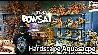 Koleksi Hardscape Aquascape  Rasio Family [upl. by Savinirs939]