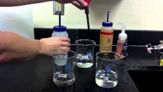 Lab Protocol  Determining pH with a pH Meter Unit 3 Acids amp Bases [upl. by Eylloh723]