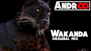 ANDROO  WAKANDA  ORIGINAL MIX  2018 [upl. by Naihr]