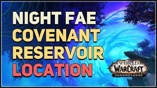 Night Fae Covenant Reservoir Location WoW [upl. by Ainar944]