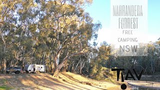 NARRANDERA STATE FOREST CAMPING [upl. by Llerrut371]