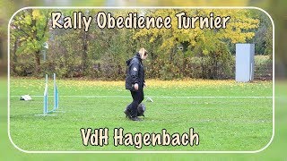 Rally Obedience Turnier Hagenbach  05112017  Klasse 2 [upl. by Annoek836]