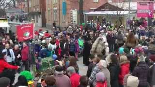 Rosenmontagsumzug 2015 in Böblingen [upl. by Nnoj]