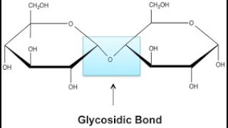 The formation of a Glycosidic bond Tamil [upl. by Ridglee]