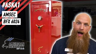 The Little Safe That COULD  Amsec BFX 6024 Gun Safe Review [upl. by Yrocal42]