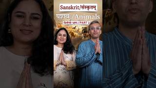 पशवः द्वितीयो भागः  संस्कृत में पशु दूसरा भाग  Animals in Sanskrit Part II [upl. by Mcnutt]