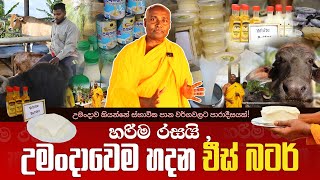 හරිම රසයි උමංදාවෙම හදන චීස් බටර් umandawa [upl. by Arvie]