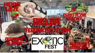 ‼️DRUGA RELACJA Z EXOTIC FEST‼️ [upl. by Aggie376]