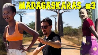 MADAGASKARAS 3 BAOBABAI IR VAIKAI KALBANTYS LIETUVIŠKAI [upl. by Jacqui]