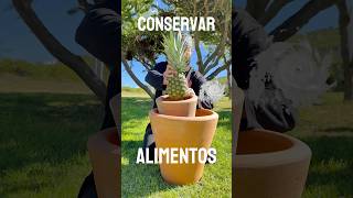 Conserva alimentos 💡 Sin electricidad Pt4 [upl. by Map]