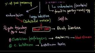 Bacterial food poisoning [upl. by Aley]