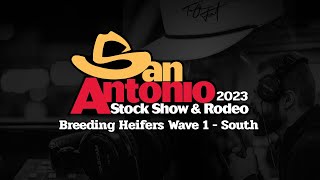 San Antonio Livestock Show 2023  Breeding Heifers Wave 1 South Ring [upl. by Nykal]