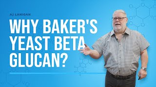 5 Why Bakers Yeast Beta Glucan [upl. by Llednahc]