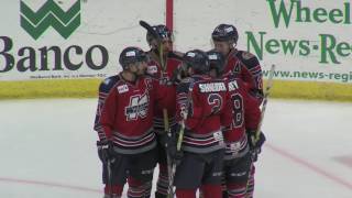 11416 Kalamazoo Wings vs Wheeling Nailers [upl. by Ecilahs]