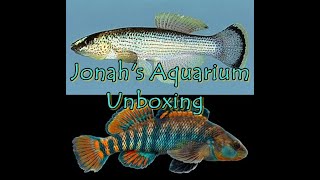 Jonahs Aquarium Unboxing [upl. by Ytsihc]