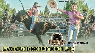 SE LLEVA LA TARDE GALLITO DE MORELIA CON ESTA MONTA¡¡LE PEGA UN MONTONON UN TORO DE RANCHO BARRIGA [upl. by Yeliah]