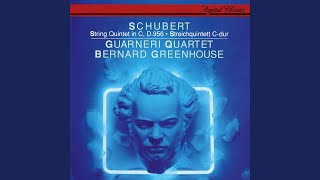 Schubert String Quintet in C major D956  4 Allegretto [upl. by Meier]