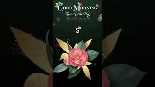 Good morning flowers video [upl. by Gnex804]