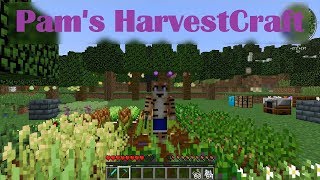 Pams HarvestCraft Mod Showcase MineCraft 1122 [upl. by Olney]